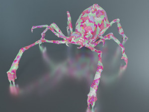 Poisonous spider 3D मॉडल