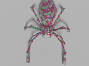 Poisonous spider 3D Model