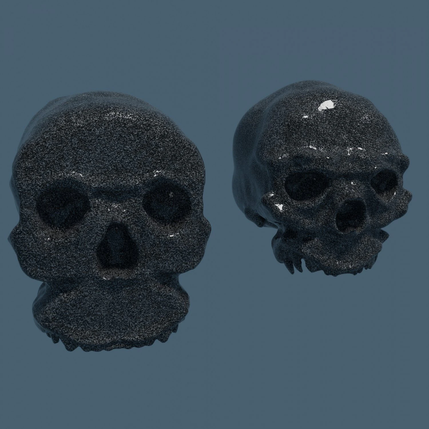 Ancient Neanderthal skulls 3D Model .c4d .max .obj .3ds .fbx .stl .blend 