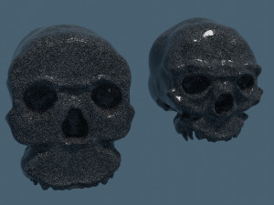 Ancient Neanderthal skulls 3D Model