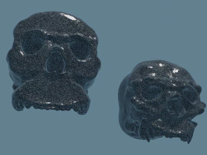 Ancient Neanderthal skulls 3D Model