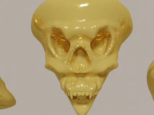 Three different skulls 3D Model