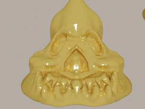 Three different skulls 3D Model