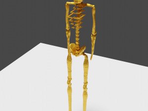 Golden skeleton for game or visual project 3D Модель