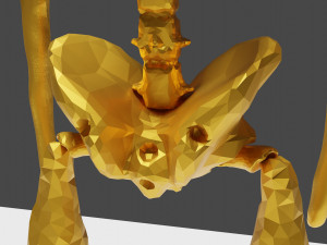 Golden skeleton for game or visual project 3D Модель