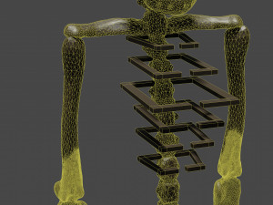 Golden skeleton for game or visual project 3D Модель
