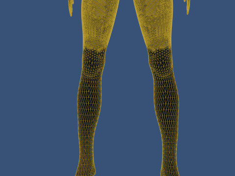 Demonic woman or character with wings 3D Model