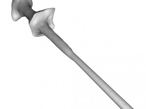 voldemort wand Model 3D