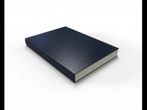 gemanipuleerd boek 3D Model