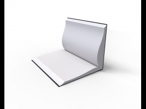 rigged book Model 3D