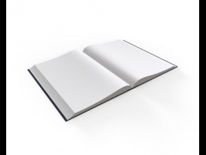 rigged book Model 3D