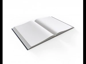 rigged book 3D Model