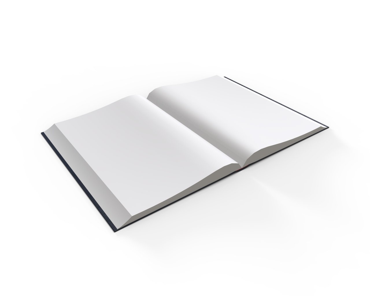 Rigged Book 3d Model In Other 3dexport