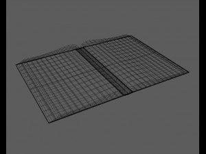 rigged book Model 3D
