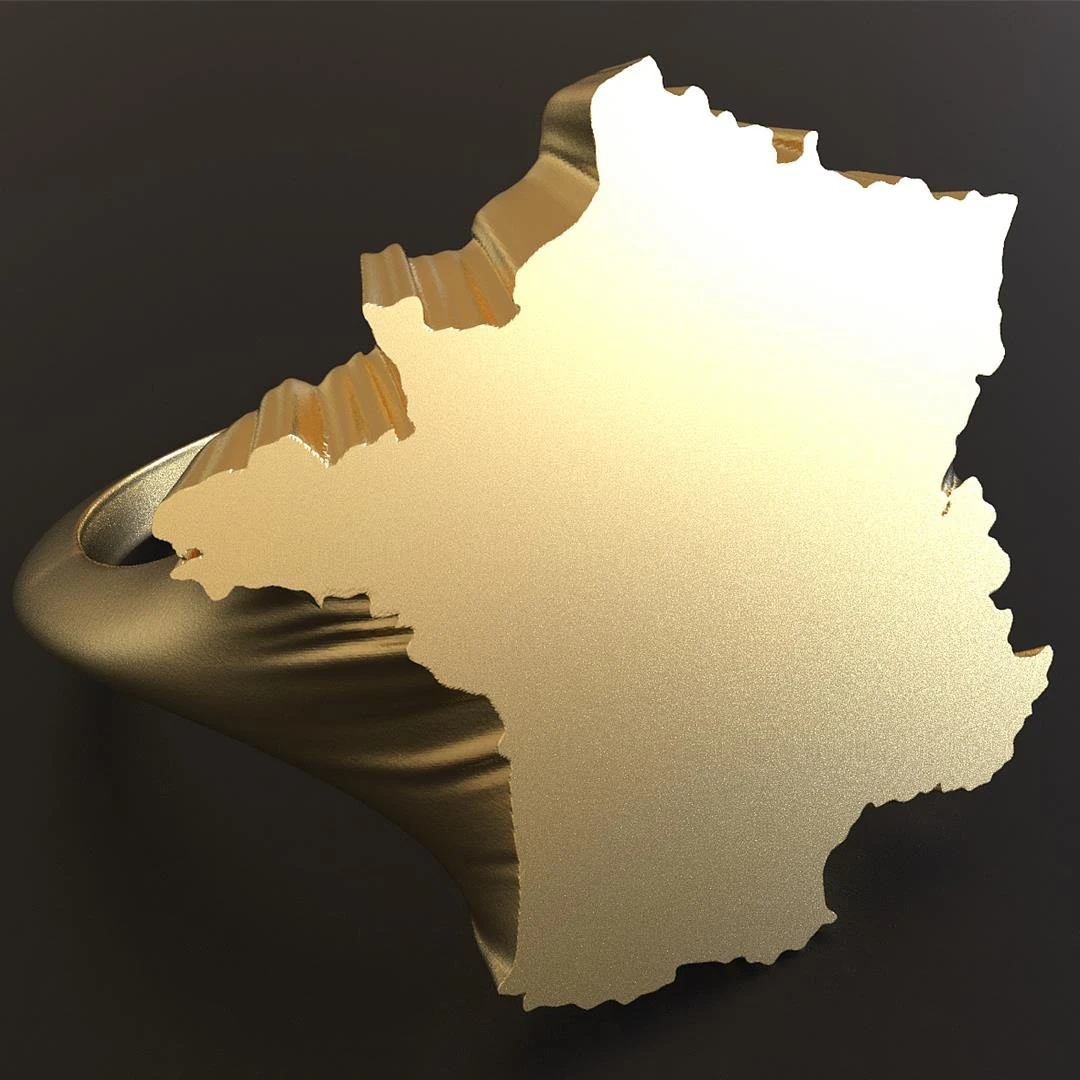 france ring 3D Print Model .c4d .max .obj .3ds .fbx .stl .blend 