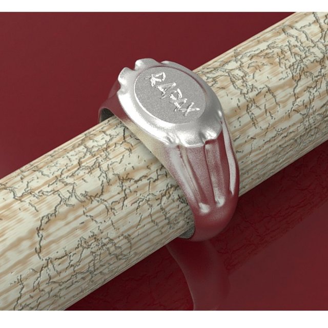 replica of a roman legionary ring of the xxi rapax 3D 프린트 모델 .c4d .max .obj .3ds .fbx .stl .blend