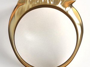 belgium ring 2 3D Print Model