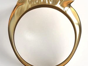 belgium ring 2 3D Print Model