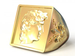 anello fiorentino Modello di stampa 3D