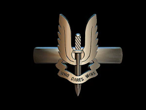 sas anel masculino Modelo de Impressão 3D