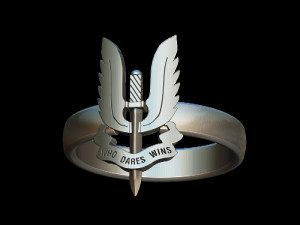 sas mensring 3D-printmodel