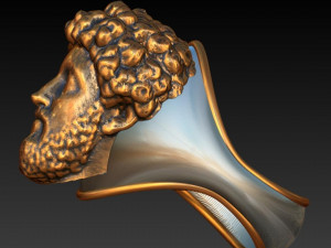 bronze-silver marcus aurelius mensring 3Dプリントモデル