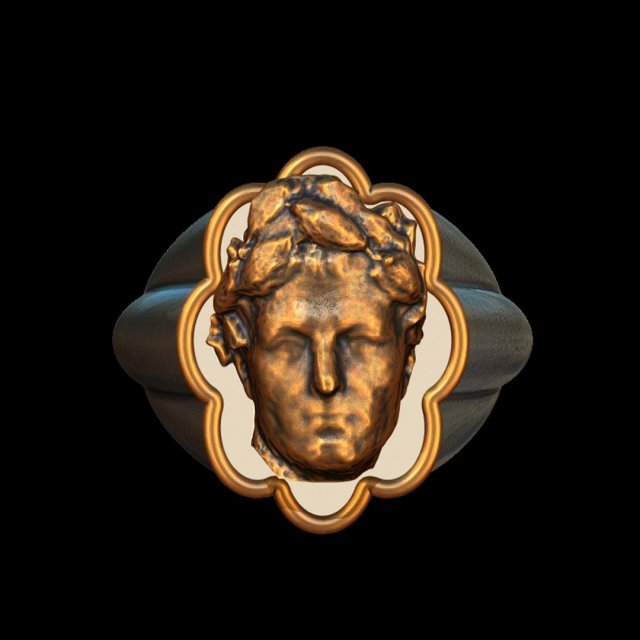 cesar bronze silver ring 3D Baskı Modeli .c4d .max .obj .3ds .fbx .stl .blend 