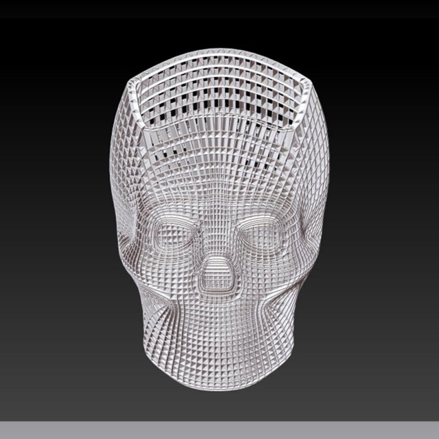 skull study 1 3Dプリントモデル .c4d .max .obj .3ds .fbx .stl .blend 