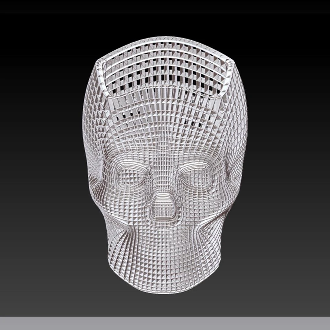 skull study 1 3D Print Model .c4d .max .obj .3ds .fbx .stl .blend 