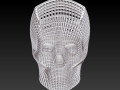 skull study 1 3D Print Models