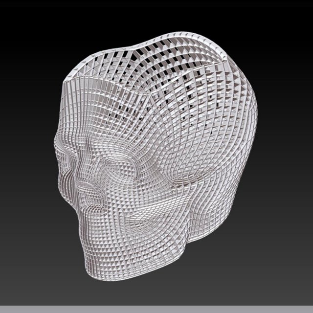 skull study 1 3D Print Model in Mathematical art 3DExport