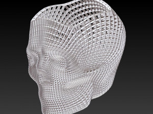 skull study 1 3Dプリントモデル