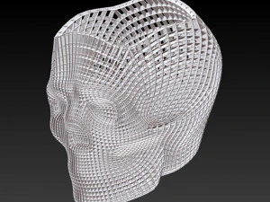 skull study 1 3D Print Model