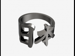 Ring kanji shop