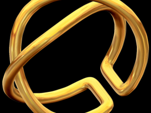 adjustable double twist ring 3D Print Model