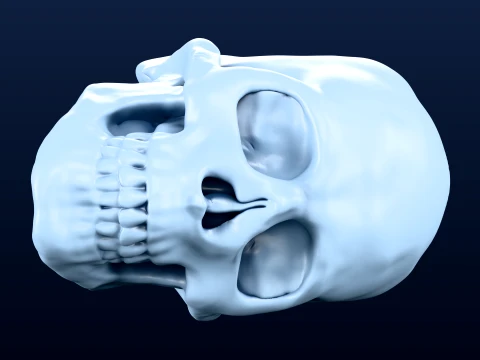 Elongated Skull Sculpture 3D Print Model for Casting STL OBJ 3D प्रिंट मॉडल