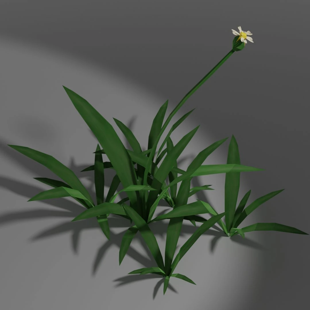 small wild plant 3D Model .c4d .max .obj .3ds .fbx .stl .blend