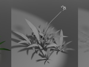 small wild plant Modello 3D