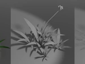 small wild plant 3D Model