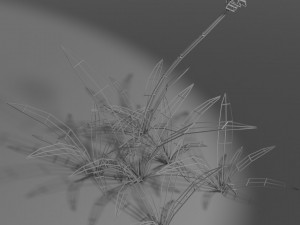 small wild plant Modello 3D