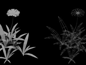 small flower low-poly Modèle 3D