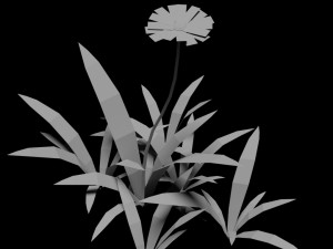 small flower low-poly Modèle 3D