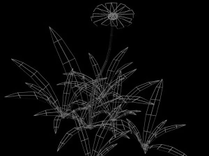 small flower low-poly 3D Model