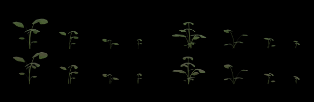 realistic plants pack vr - ar - low-poly Model 3D .c4d .max .obj .3ds .fbx .stl .blend 