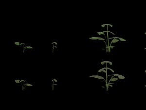 現実的な植物パック VR - ar - 低ポリ 3Dモデル