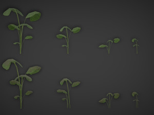 realistic plants pack vr - ar - low-poly Model 3D