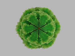 stylized pine tree Modelo 3D