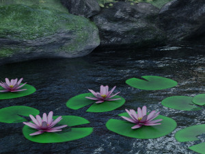 lily pad 3D Model