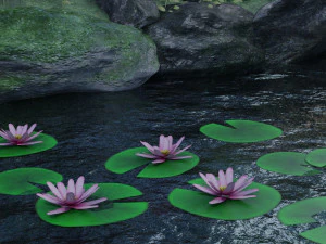 nénuphar Modèle 3D