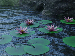 lily pad 3D Model